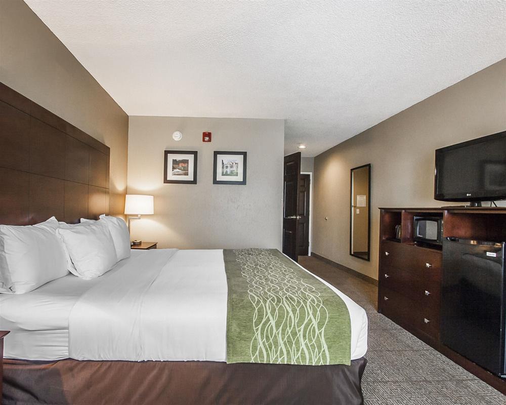 Comfort Inn Us Hwy 80 Demopolis Екстер'єр фото